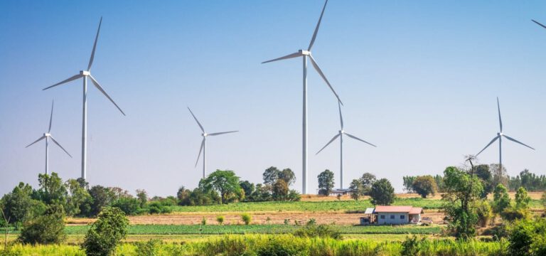 Planen: Wir beraten zur Regional– und Flächennutzungsplanung, zur Bebauungsplanung, zur Bauvoranfrage und Baugenehmigung.